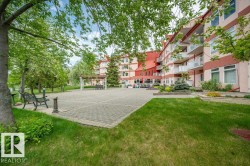 Expansive paver patio with a pergola, bordered by green lawn and mature trees - 