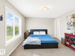 Bright room with a large window and blinds, light gray walls, and carpet flooring - 