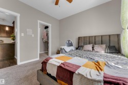 Spacious bedroom with neutral wall tones and plush carpeting - 