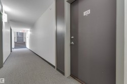 Property entrance featuring a solid door with modern hardware, leading to a hallway with patterned carpeting - 