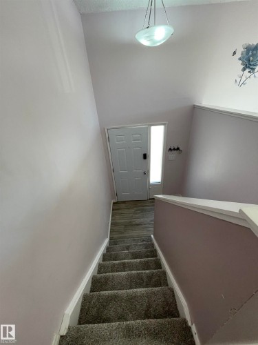 Carpeted staircase descending to a wood-finish flooring entryway - 8930B 144 Avenue, Edmonton, AB 