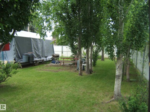 Expansive green lawn with established trees and a privacy fence - 4606 51 Avenue, Two Hills, AB 
