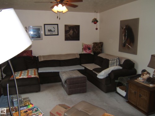 Recessed lighting and ceiling fan provide illumination in this room - 4606 51 Avenue, Two Hills, AB 