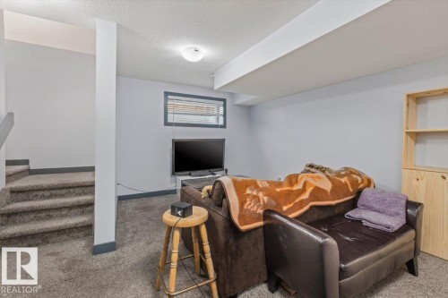 Finished room featuring gray carpeting and light gray walls - 3 7210 96 Street, Edmonton, AB - Indoor