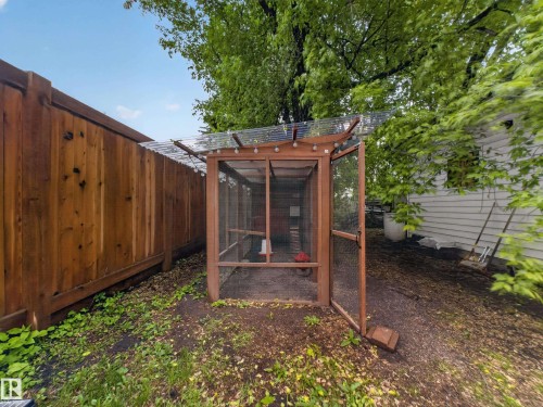 Dedicated animal enclosure with a wood frame and mesh siding, featuring a translucent roof panel - 10809 150 Street, Edmonton, AB 