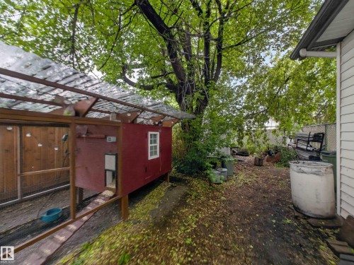 Rear yard featuring a chicken coop with a white-framed window, a covered run, and mature trees providing shade - 10809 150 Street, Edmonton, AB 