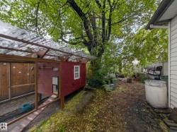 Rear yard featuring a chicken coop with a white-framed window, a covered run, and mature trees providing shade - 