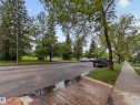 Street-level perspective featuring mature trees, paved sidewalk, and a manicured green space - 10809 150 Street, Edmonton, AB 