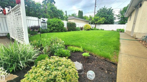 Expansive backyard featuring a lush lawn, mature perimeter shrubbery, and a white lattice privacy screen - 13307 Delwood Road, Edmonton, AB 