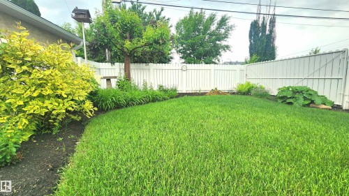 Spacious backyard featuring a lush lawn, white privacy fencing, and established perimeter plantings - 13307 Delwood Road, Edmonton, AB 