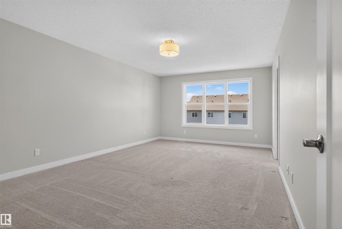 Spacious room featuring neutral carpeting, light gray walls, a multi-pane window, and a drum-style ceiling light fixture - 9432 229 Street, Edmonton, AB 