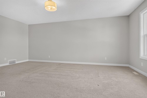 Spacious room featuring neutral carpeting, light gray wall paint, and white trim - 9432 229 Street, Edmonton, AB 