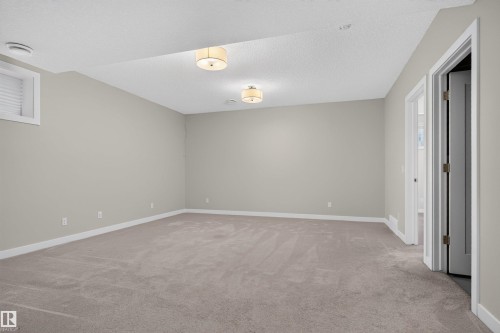 Spacious room featuring neutral wall paint, light-toned carpeting, and two semi-flush mount ceiling light fixtures - 9432 229 Street, Edmonton, AB 