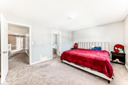 Carpeted bedroom with light gray walls, a flush-mount ceiling light, and white trim - 