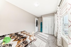 Neutral-toned walls complement plush grey carpeting - 