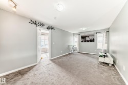 Carpeted room featuring multiple windows, a white ceiling, and light gray walls - 