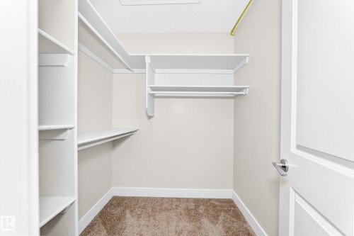 Walk-in closet featuring white shelving, multiple hanging rods, warm neutral wall paint, white trim, and brown carpet flooring - 16124 76 Street, Edmonton, AB 