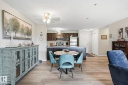 Open-concept living space featuring wood-finish flooring, a contemporary ceiling fan, and a kitchen with dark cabinetry, stainless steel appliances, and a breakfast bar - 