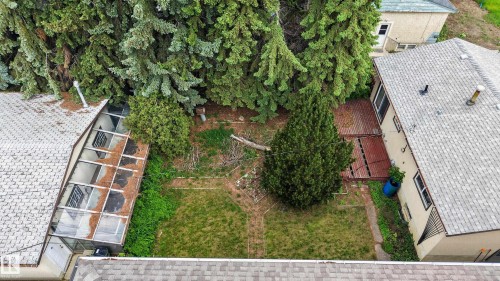 Expansive yard space featuring a mature evergreen tree and established perimeter foliage - 10924 154 Street, Edmonton, AB 