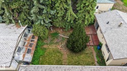 Expansive yard space featuring a mature evergreen tree and established perimeter foliage - 