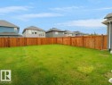 Expansive green lawn with a newly installed wood privacy fence - 2039 13 Avenue, Edmonton, AB 