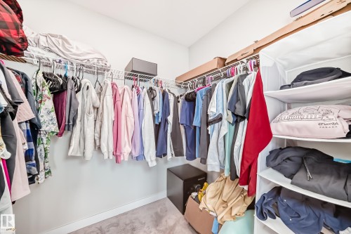 Walk-in closet with carpet flooring, white wire shelving, and extensive hanging rods - 4231 206 Street, Edmonton, AB 