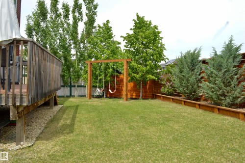 Expansive backyard featuring a manicured lawn, a wooden deck, a swing set, and a stained wood fence - 1 Hemlock Close, Fort Saskatchewan, AB 