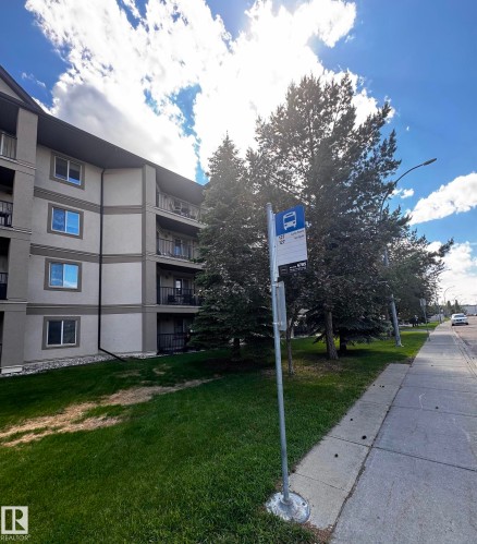 Multi-story building featuring multiple private balconies, a stucco exterior, and mature evergreen trees - 330 13111 140 Avenue, Edmonton, AB 