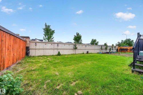 Expansive backyard featuring a green lawn, wood fencing, and a black deck with stairs - 1603 158 Street, Edmonton, AB 