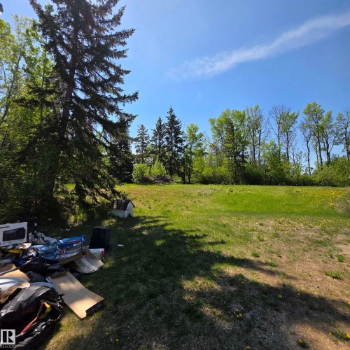 Yard - 133 52039 Range Road 213, Rural Strathcona County, AB - Outdoor