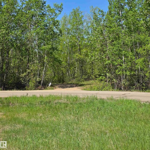 Wooded lot with mature trees and dense foliage, featuring a partially visible dirt access road and a paved road frontage - 133 52039 Range Road 213, Rural Strathcona County, AB - Outdoor