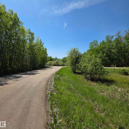 Paved road with flanking green spaces and mature trees under a clear sky - 133 52039 Range Road 213, Rural Strathcona County, AB - Outdoor With View