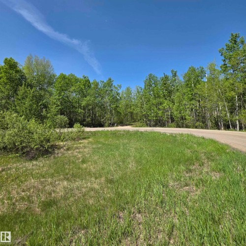 Expansive grassed area bordered by mature deciduous and evergreen trees - 133 52039 Range Road 213, Rural Strathcona County, AB - Outdoor