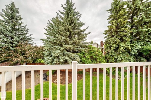 White picket railing overlooking a verdant backyard with mature evergreen trees and a wood fence - 9843 188 Street, Edmonton, AB 