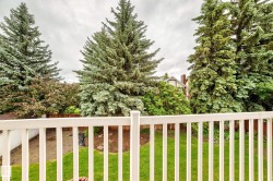 White picket railing overlooking a verdant backyard with mature evergreen trees and a wood fence - 