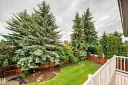 Expansive backyard featuring mature evergreen trees, a manicured lawn, and a wood-tone privacy fence - 