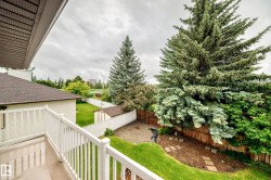 Spacious backyard featuring mature evergreen trees, a manicured lawn, and a white privacy fence - 