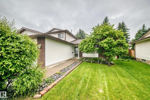 Exterior featuring white siding, brown brick accents, a mature front yard tree, a concrete pathway, and surrounding shrubbery - 9843 188 Street, Edmonton, AB 