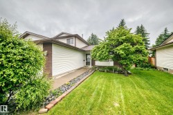 Exterior featuring white siding, brown brick accents, a mature front yard tree, a concrete pathway, and surrounding shrubbery - 
