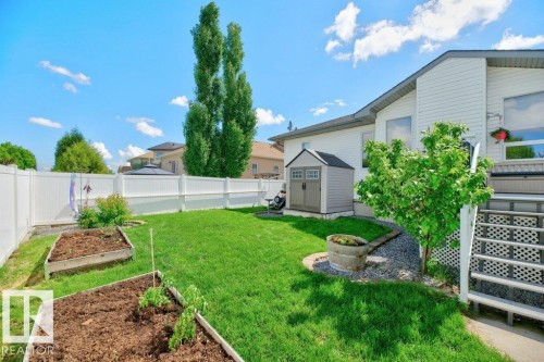 Expansive backyard featuring a manicured lawn, white vinyl fencing, and raised garden beds - 5528 43 Street, Lamont, AB 