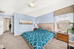 Carpeted bedroom with light blue walls and white trim - 