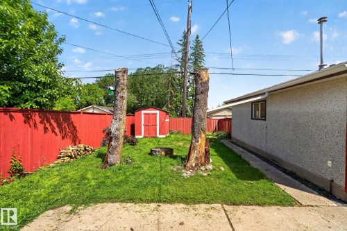Backyard featuring a red painted fence, two tree stumps, a manicured lawn, and a red storage shed - 13431 109 Street, Edmonton, AB 