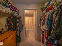 Walk-in closet featuring carpet flooring and overhead shelving - 