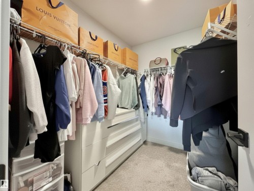 Expansive closet featuring carpet flooring, built-in shelving, white drawers, and hanging rods - 33 Sumac Close, Fort Saskatchewan, AB 