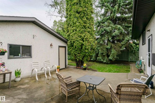 Expansive concrete patio area with a stucco exterior structure, mature evergreen trees, and a privacy fence - 14231 80 Street, Edmonton, AB 