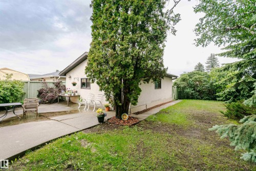 Spacious backyard featuring a large concrete patio, mature trees, a manicured lawn, and a light-colored stucco exterior - 14231 80 Street, Edmonton, AB 