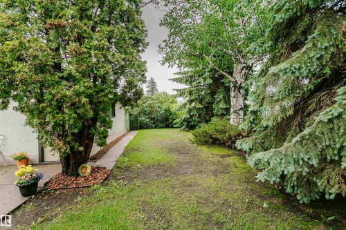 Expansive green space featuring mature trees, a concrete pathway, and a stucco exterior - 14231 80 Street, Edmonton, AB 
