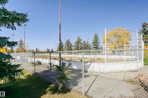 Fenced outdoor recreation area with chain-link fencing, concrete base, and surrounding mature trees - 14231 80 Street, Edmonton, AB 