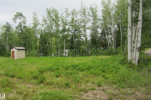 Grassy lot featuring a beige storage shed with a brown door, surrounded by mature deciduous and evergreen trees - 220- 11502 Twp Rd 604 S, Rural St. Paul County, AB 