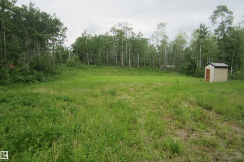 Expansive green lot featuring a storage shed with a brown door, surrounded by mature trees - 220- 11502 Twp Rd 604 S, Rural St. Paul County, AB 